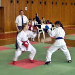Majstrovstvá VÚKABU, 12.4.2008 , Bardejov