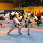 11th Budapest Open
