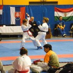11th Budapest Open