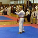 Jugo Cup Košice 2008