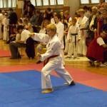 Jugo Cup Košice 2008